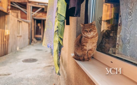 Уют и ветхость старой Одессы во дворах нетуристической улицы Кузнечной (фоторепортаж) «фото»