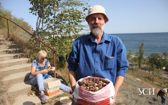 Мы начинали как зеленые партизаны, – одессит Владимир Яценко создает цветущие склоны (фото) «фото»