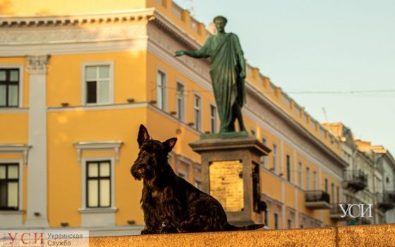 Лето не спешит покидать Одессу «фото»