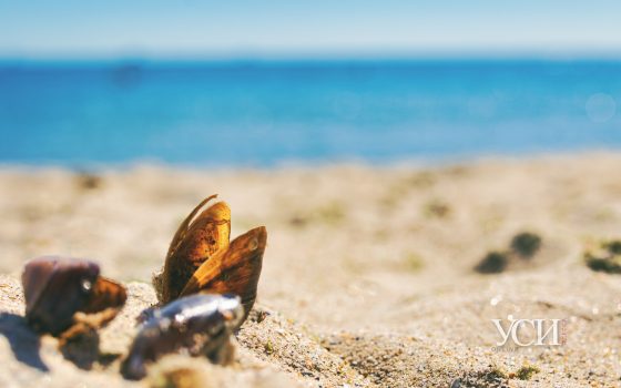 Бархатный сезон в городе: как жители и гости Одессы проводят последние теплые дни (фоторепортаж) «фото»