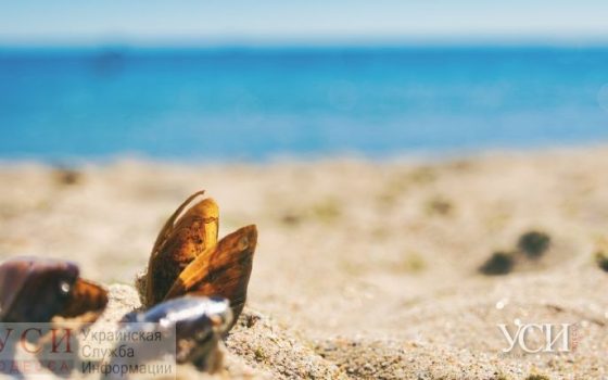 В Одессе в субботу сохранится мягкое сентябрьское тепло «фото»