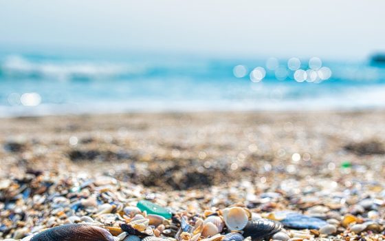 Морская вода на популярных пляжах Одессы не соответствует нормам «фото»