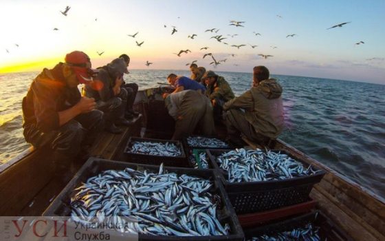 Для браконьеров-рыбаков повысят штрафы: запрещенные орудия лова могут обойтись до 8,5 тысяч «фото»