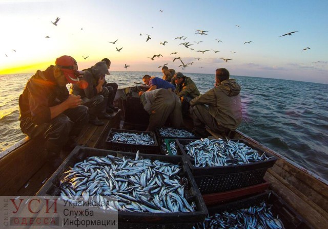Для браконьеров-рыбаков повысят штрафы: запрещенные орудия лова могут обойтись до 8,5 тысяч «фото»