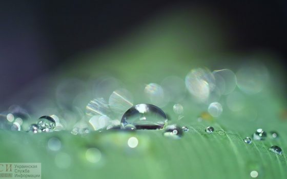 Суббота в Одессе будет дождливой, но теплой «фото»