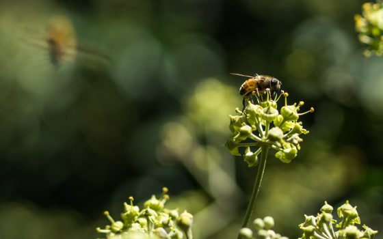 Воскресенье в Одессе будет теплым и солнечным «фото»