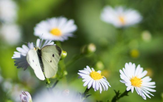 Сентябрь продолжает радовать одесситов теплом «фото»