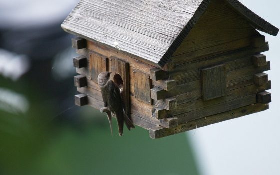 Погода продолжит радовать одесситов теплом «фото»
