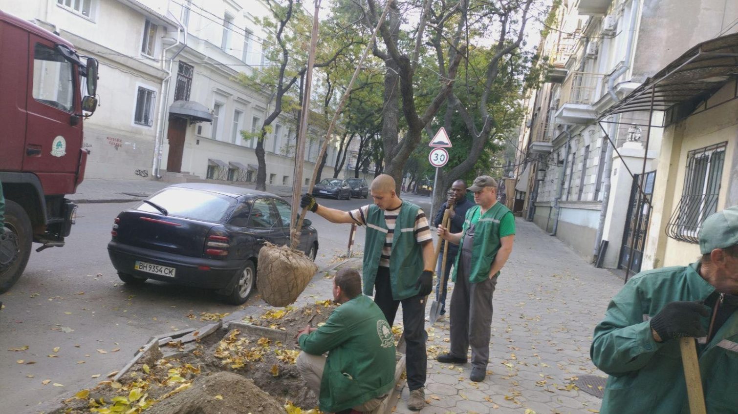 На защиту и высадку деревьев в Одессе потратят 1,6 млн из бюджета «фото»