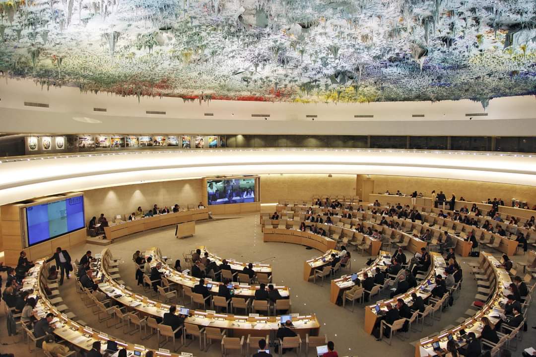 Украину переизбрали в Совет ООН по правам человека «фото»