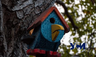 Разноцветные окна и старые колодцы: гуляем по дворикам переулка Некрасова (фоторепотраж) usionline.com Разноцветные окна и старые колодцы: гуляем по дворикам переулка Некрасова (фоторепотраж) «фото»