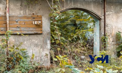 Живописный упадок за красивым фасадом: дворы улицы Гоголя (фоторепортаж) usionline.com Живописный упадок за красивым фасадом: дворы улицы Гоголя (фоторепортаж) «фото»