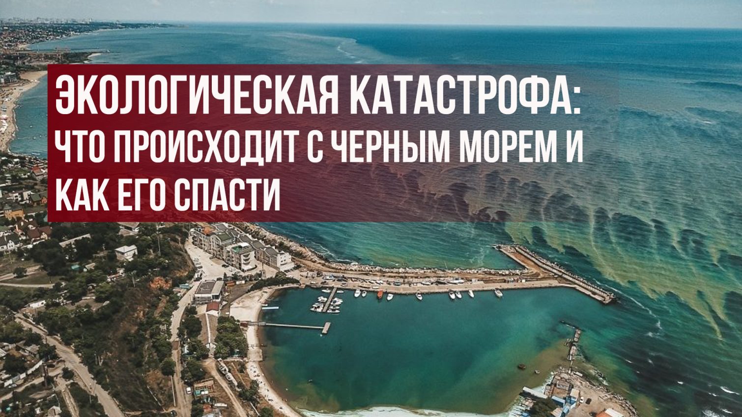 Экологическая катастрофа: что происходит с Черным морем и как его спасти (фото) «фото»