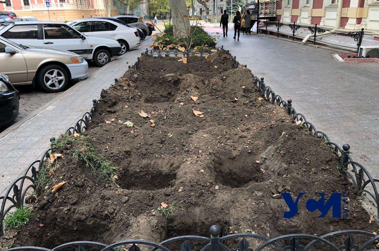 Одесский «Горзелентрест» готовит лунки для высадки цветников возле мэрии 📷 usionline.com Одесский «Горзелентрест» готовит лунки для высадки цветников возле мэрии 📷 «фото»