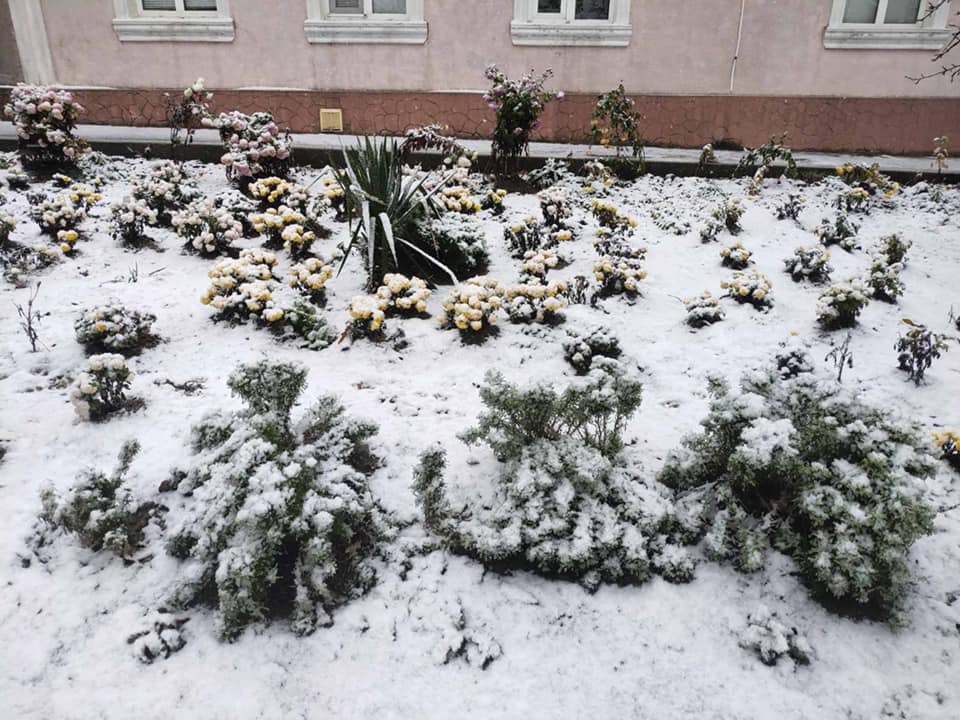 В Измаиле и Болграде выпал снег (фото) «фото»