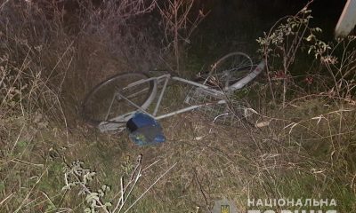 В Одесской области на трассе погиб велосипедист (фото) «фото»