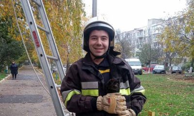 В Одессе спасли мужчину, а в Подольске – котенка (фото) «фото»