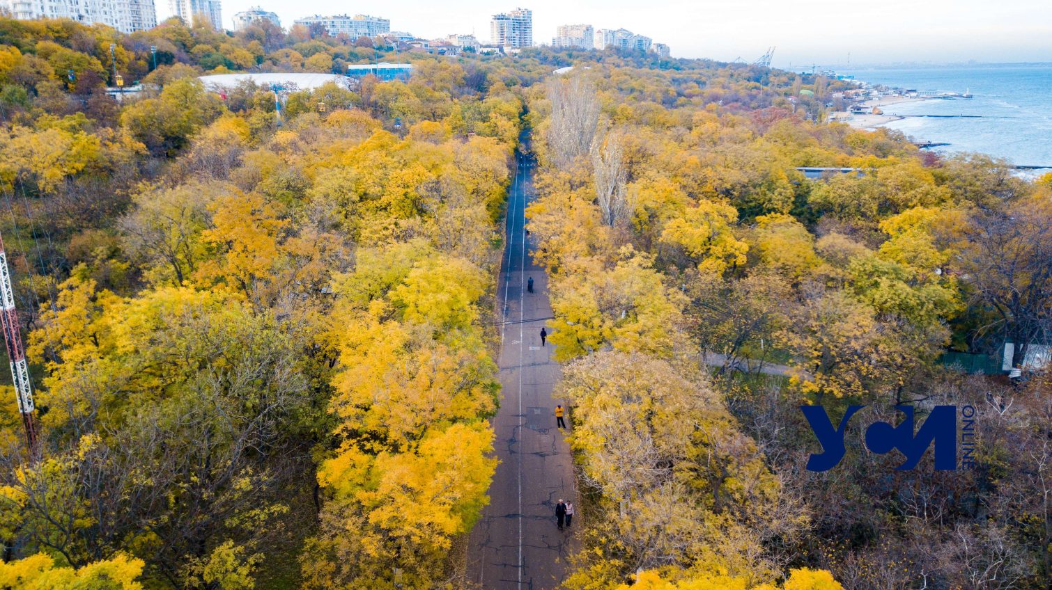 Синоптики: в среду в Одессе и области похолодает «фото»