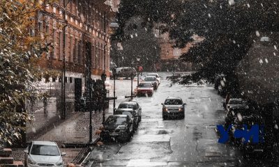 Поздняя и дождливая осень в Одессе (фоторепортаж) «фото»