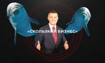Что творится с дельфинарием новоизбранного депутата Кисловского «фото»