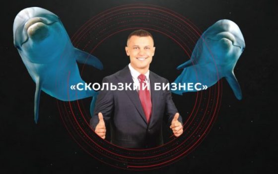 Что творится с дельфинарием новоизбранного депутата Кисловского «фото»