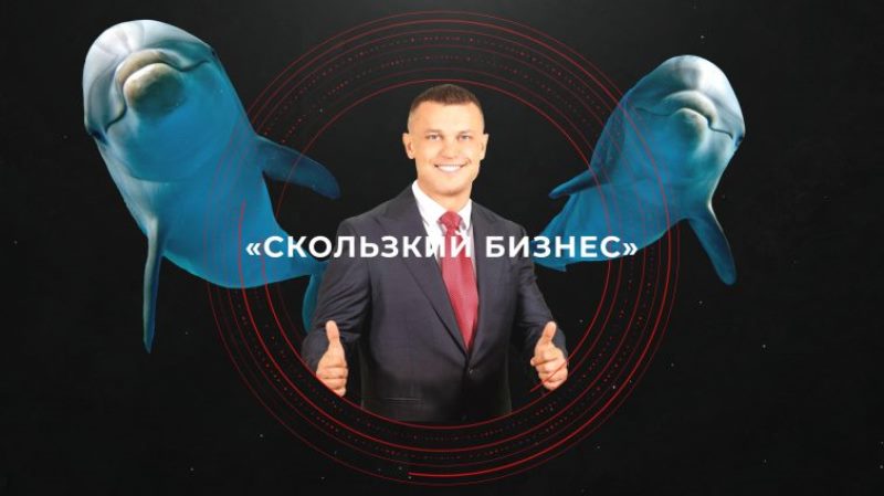 Что творится с дельфинарием новоизбранного депутата Кисловского «фото»