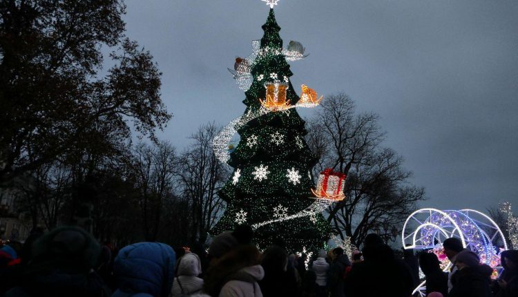 Главная елка Одессы обойдется городу почти в 2 миллиона «фото»