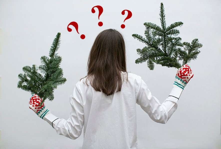 Что делать и куда нести новогоднюю елку после праздников: 4 идеи «фото»