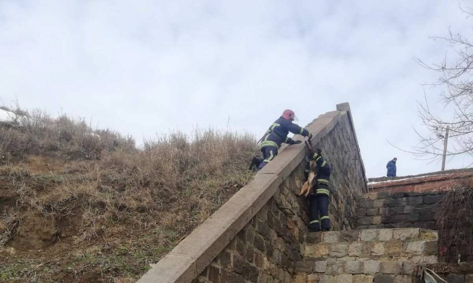 Пожарные в Рени спасли собаку (фото) «фото»