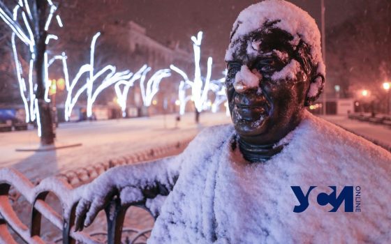 Два одесских музея проведут бесплатные онлайн-экскурсии usionline.com Два одесских музея проведут бесплатные онлайн-экскурсии «фото»