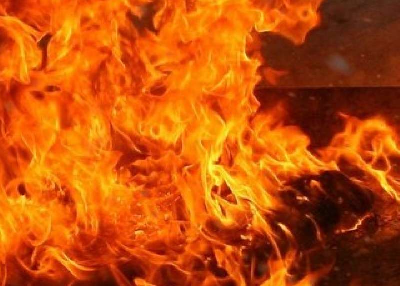 Житель Одесской области погиб при пожаре в своем доме (фото) «фото»