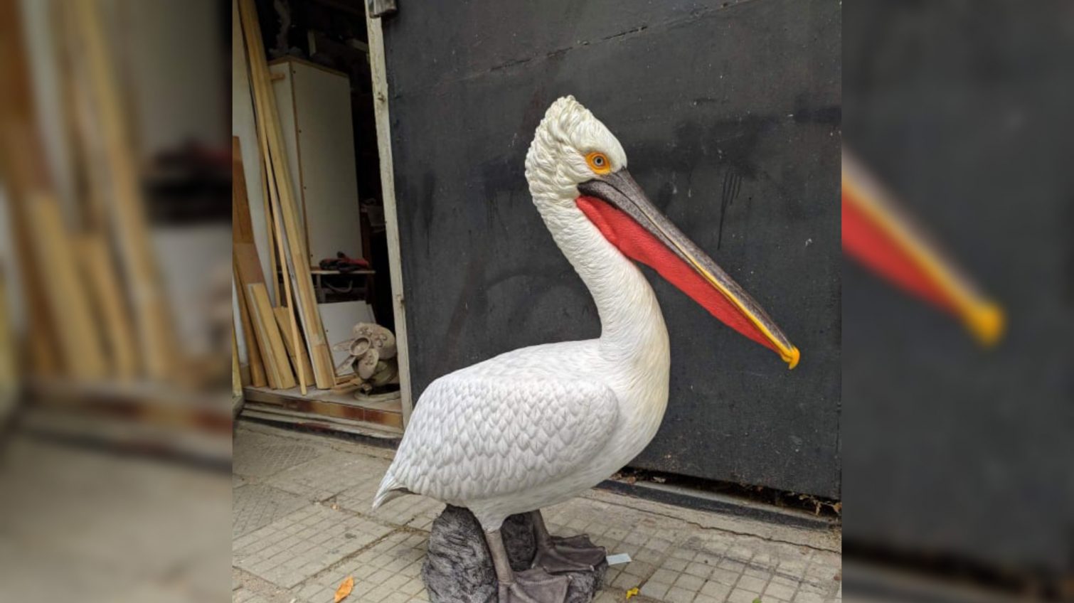 В дельте Дуная пеликанов будут привлекать фигурами птиц «фото»