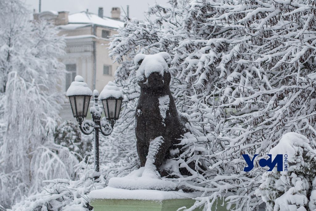 Метель и гололедица: какой будет погода в Одессе 28 января «фото»