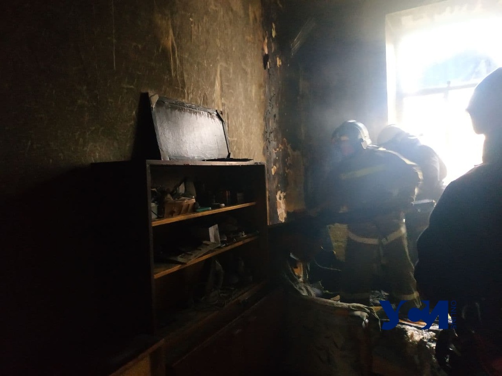 Одесские спасатели реанимировали кота, пострадавшего на пожаре (фото, видео) «фото»