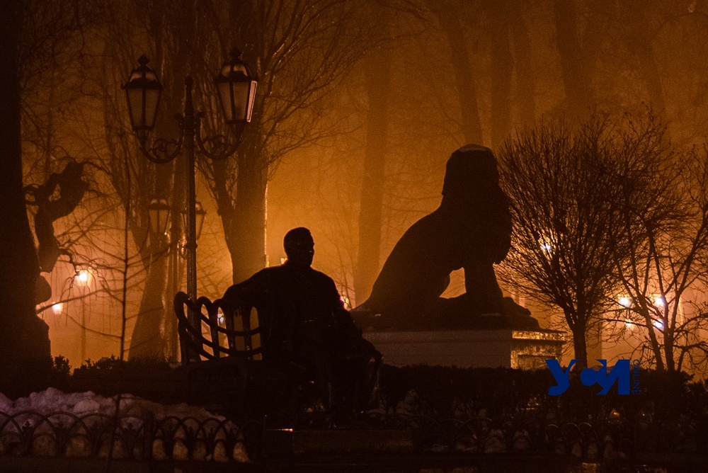 Ночные огни Одессы в тумане и отражении растаявшего снега (фото) «фото»