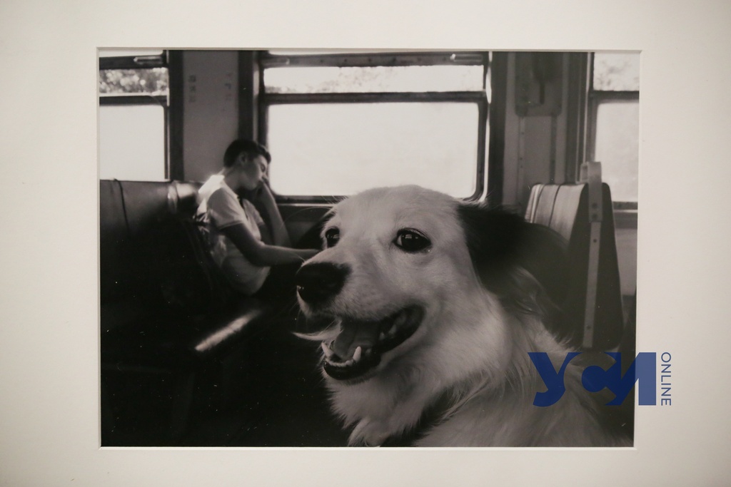 “Радость моя”: одесситка открыла выставку черно-белых фотографий (фото) «фото»