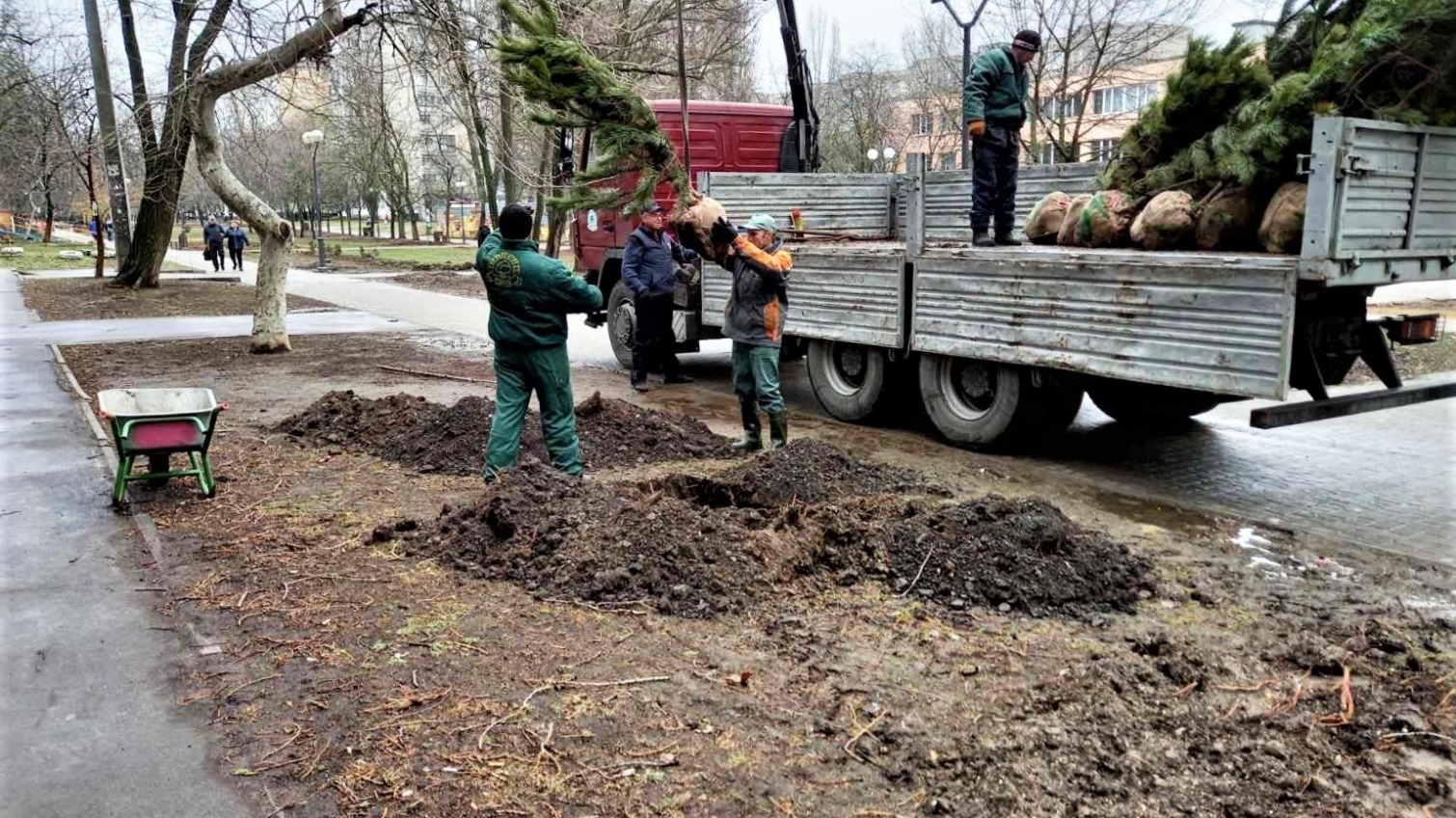 В Одессе весной высадят более 600 деревьев (фото) «фото»