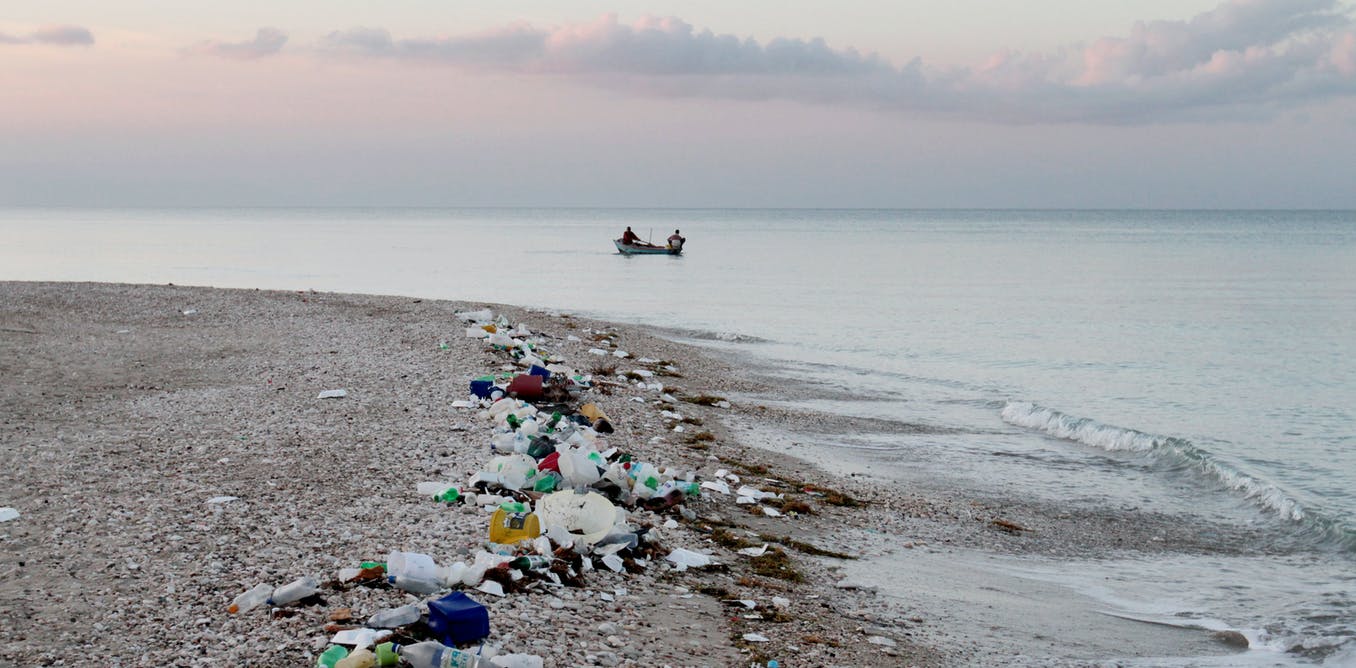 В Госэкоинспекции назвали ситуацию с морской водой в Затоке плачевной «фото»
