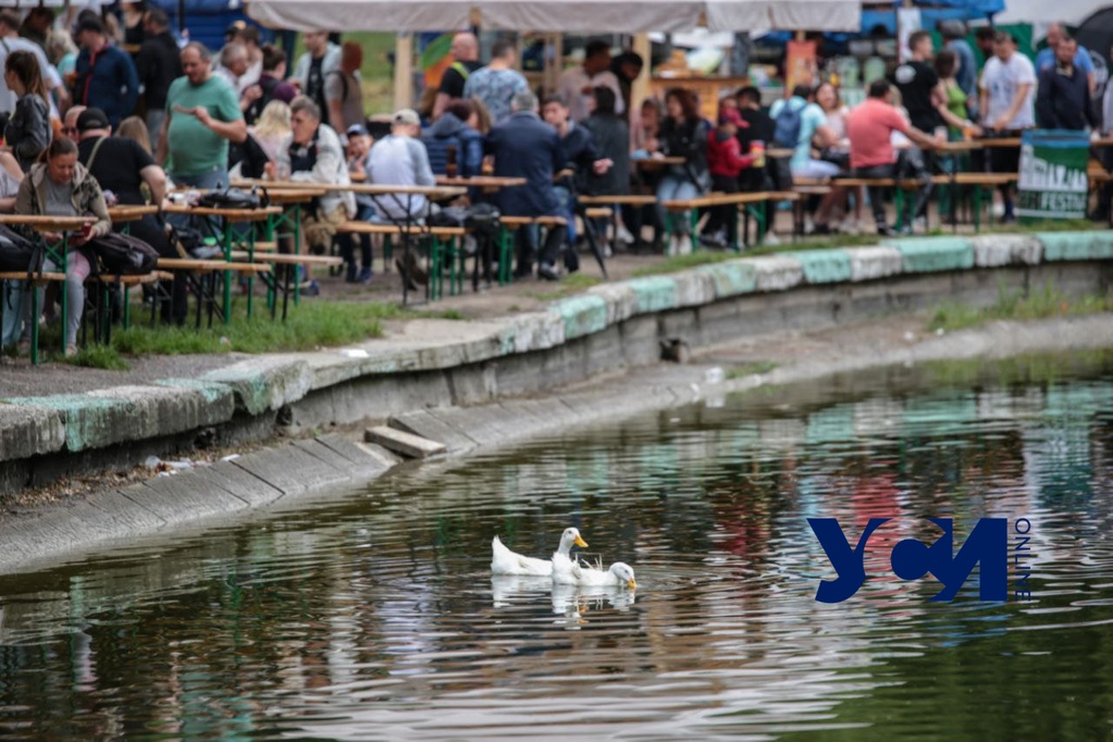 В пятницу в Одессе потеплеет «фото»