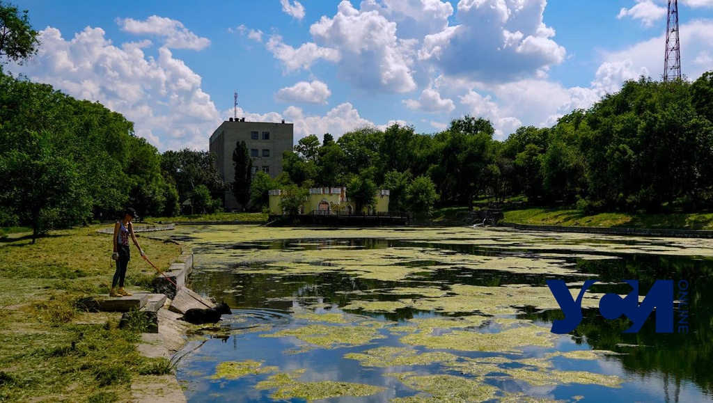 Дюковский сад: история и современность одного из старейших парков Одессы (фото, видео) «фото»