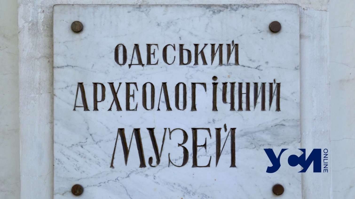 Одесскому археологическому музею нужны деньги на стеллажи для амфор «фото»