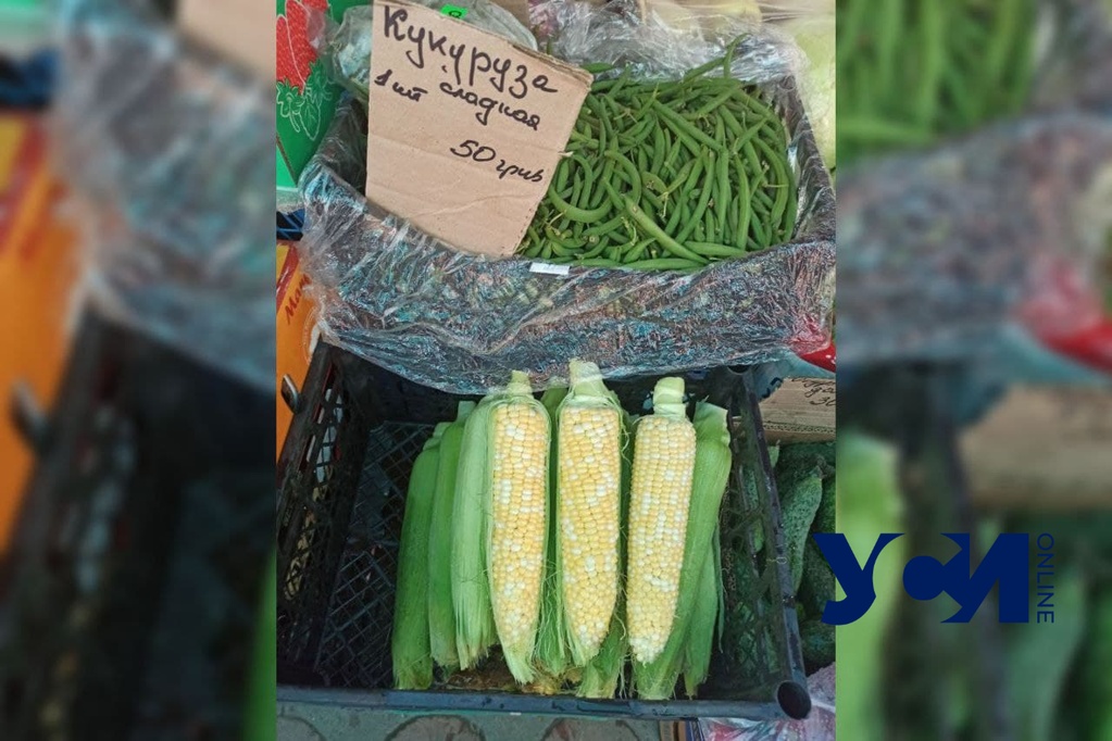 На рынках Одессы появляется молодая кукуруза: цены пока кусаются «фото»