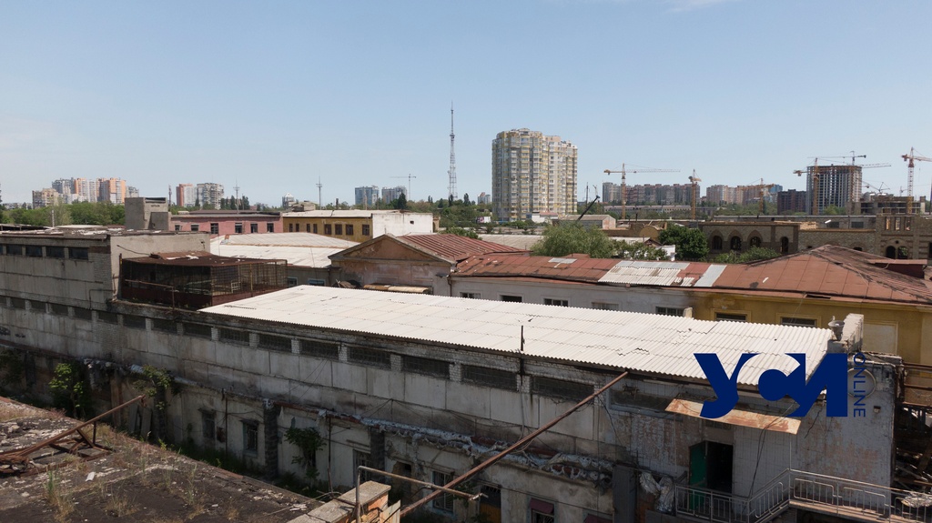 Земельный участок Одесской колонии №51 перед продажей уменьшили до 4,8 гектаров «фото»