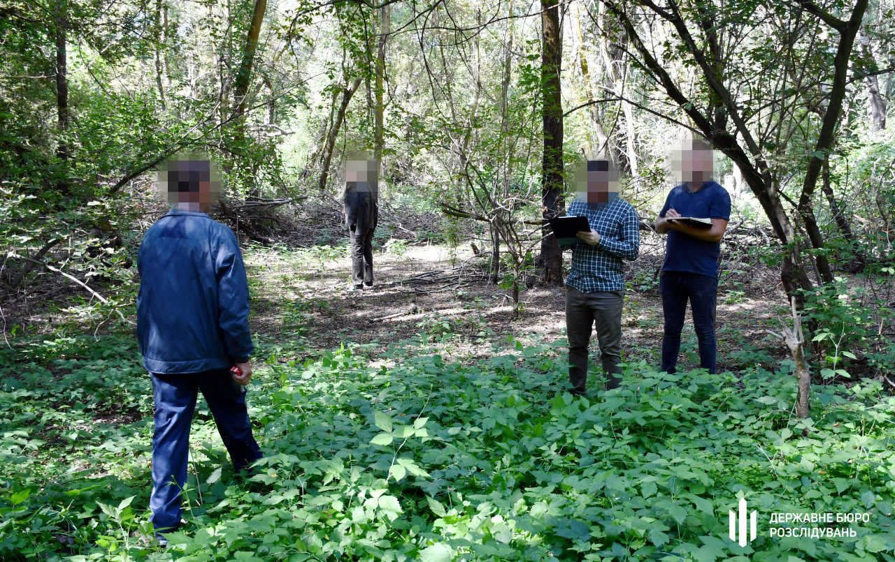 В Одесской области лесник “не заметил” вырубки 300 деревьев «фото»