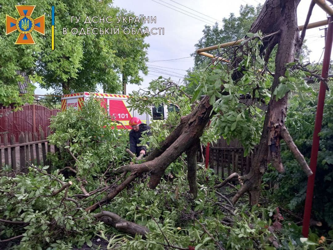 Упали деревья и затопило дома: на Подольский район обрушились дожди (фото) «фото»