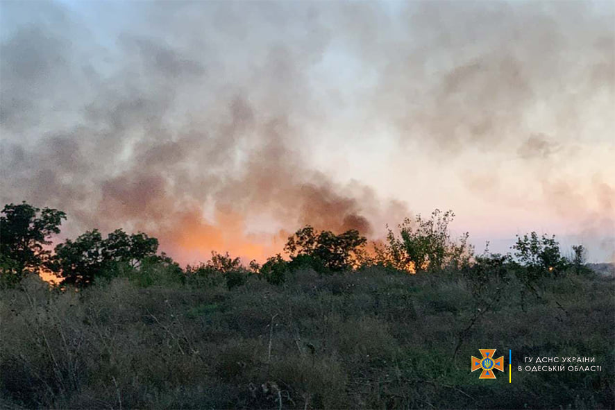 12 выездов за сутки: Одесской области грозят масштабные лесные пожары (фото) «фото»