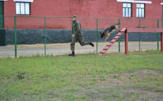 Собачье многоборье: одесский кинолог занял призовое место на всеукраинских состязаниях (фото) «фото»