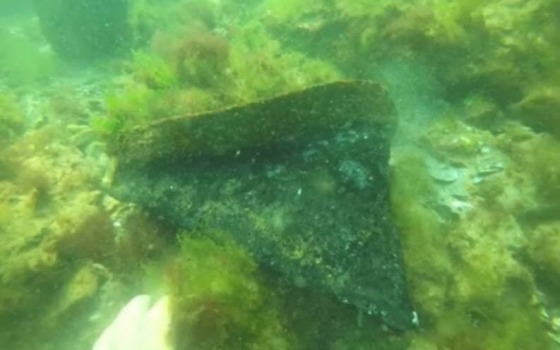 На Дельфине водолазы достали обломки судна Delfi (фото) usionline.com На Дельфине водолазы достали обломки судна Delfi (фото) «фото»