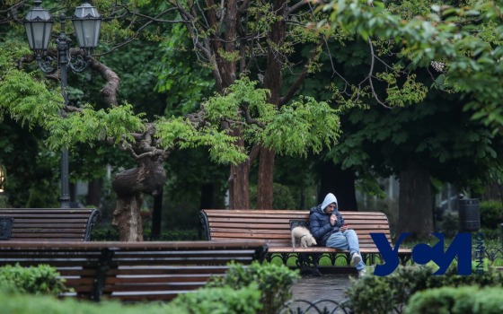 В Одессе прогнозируют дождь usionline.com В Одессе прогнозируют дождь «фото»