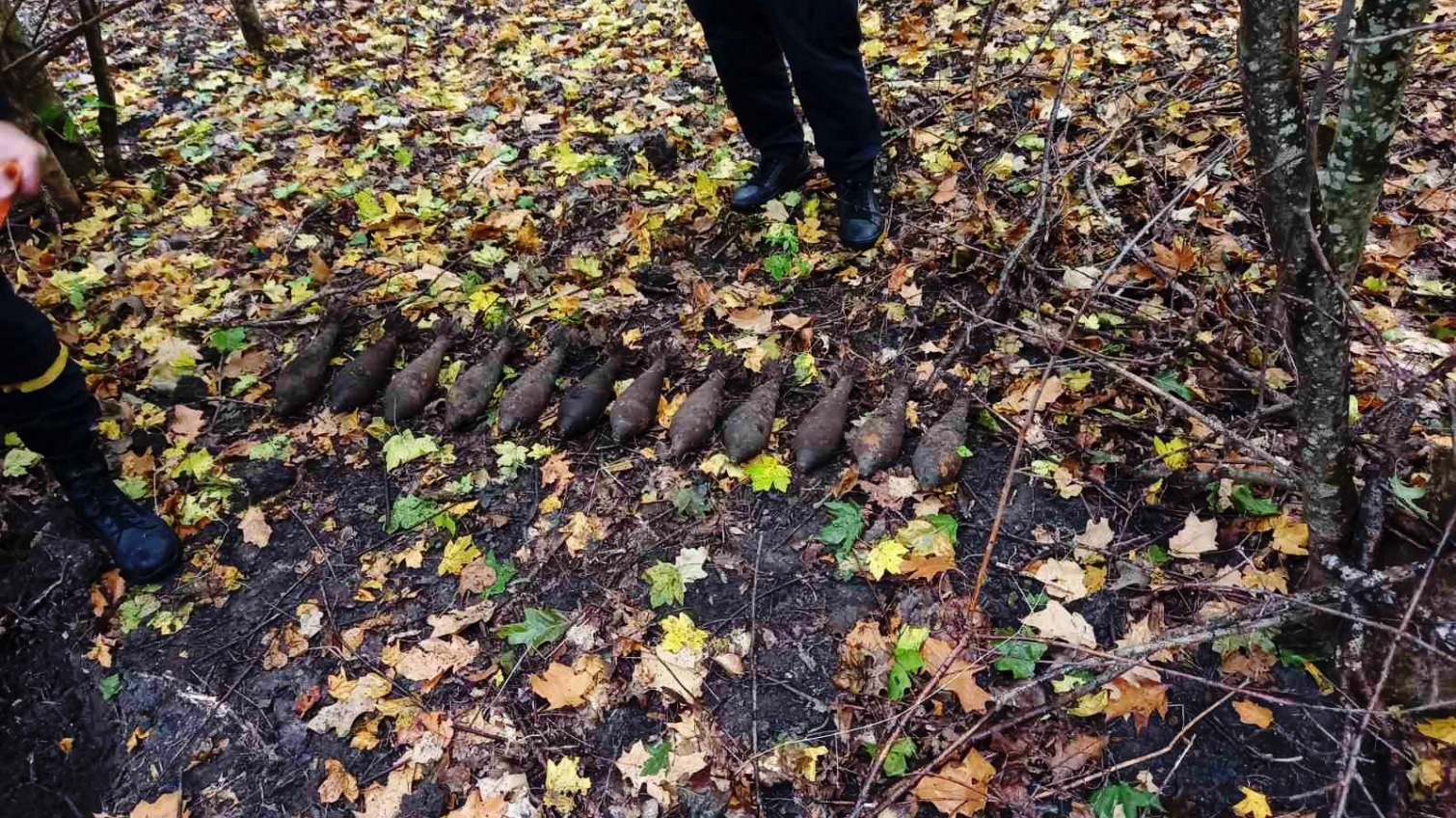 В лесу под Одессой пиротехники обезвредили 12 мин (фото) «фото»
